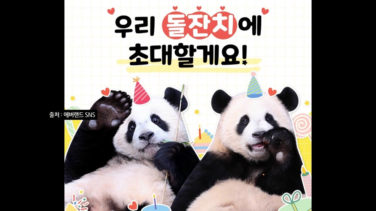 푸바오 쌍둥이 동생 "돌잔치 초대합니다"...바오 패밀리 대한 사랑 식을 줄 몰라 [...