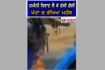 ਦੇਖੋ ਜ਼ਮੀਨੀ ਵਿਵਾਦ ਲੈ ਕੇ ਚੱਲੀ ਗੋਲੀ ਖੇਤਾਂ ਚ ਭੱਖਿਆ ਭਿਆਨਕ ਮਹੌਲ।