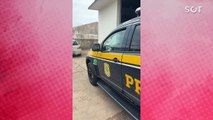 Homem é detido pela PRF com armas e carregadores durante abordagem na PR-317