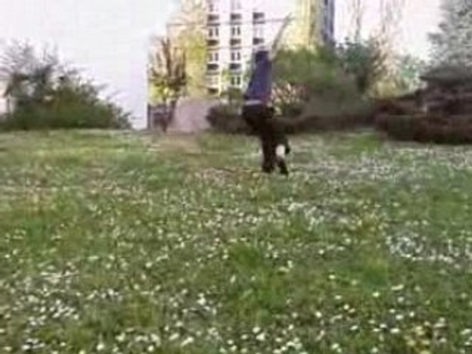 SV_A0040