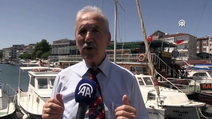 Prof. Dr. Osman Samsun: Leading Expert in [Field/Discipline]