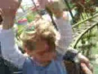 Elise Walibi la coccinelle