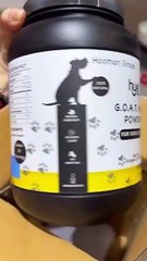 Is Goat Milk Safe and Beneficial for Dogs?