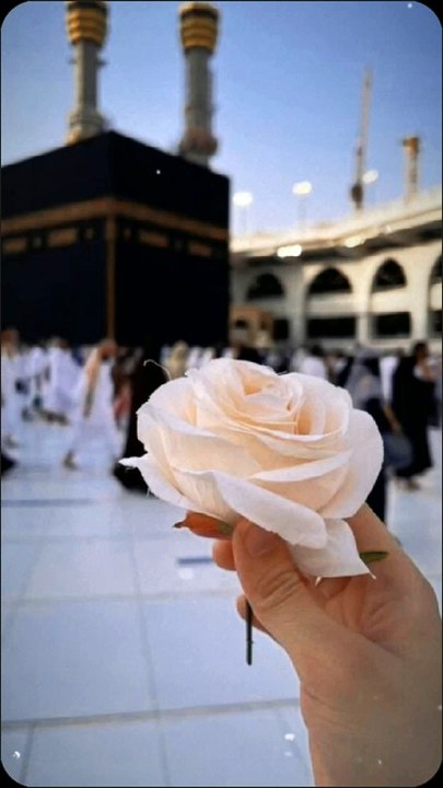 Beautiful Arabic Naat | Naat Sharif | Naat Status. #trending #new #viral #naatstatus