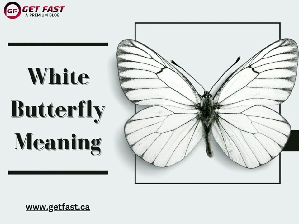 White Butterfly Meaning