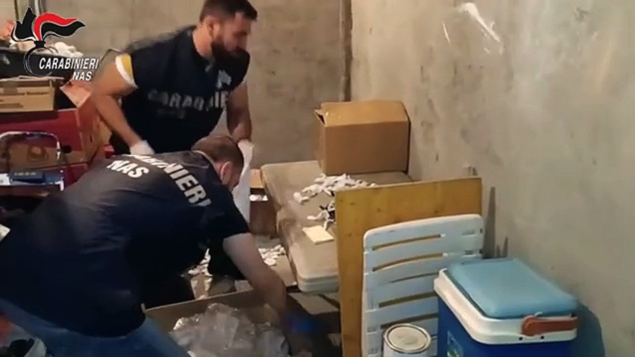 Sette arresti per traffico di anabolizzanti, le indagini partite da sportivi malati di tumore