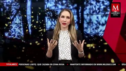 Temporada de luciérnagas en Michoacán, santuarios y conservación