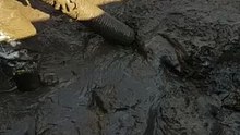 Industrial Vacuuming 4