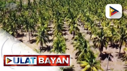 Agrarian reform beneficiary sa Masbate, nagpasalamat sa natanggap na titulo ng lupa mula sa...