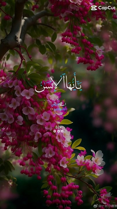 Ay Insan tujhy Apne RUB