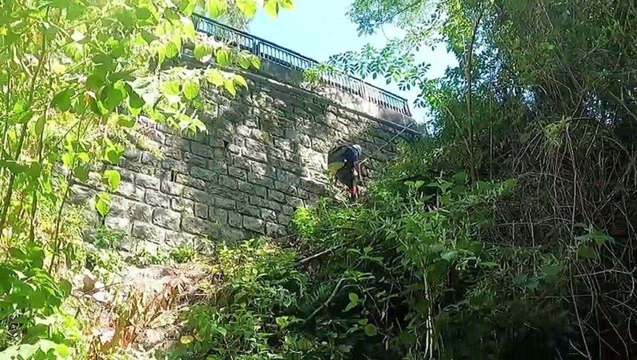 34 Canyon Doria 2023 (Follow Me)