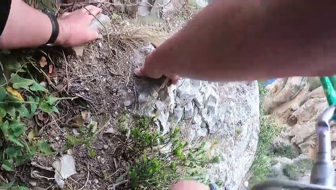 28 Escalade Castelvieil Traversée Ramond 2023 (Fall At Your Feet)