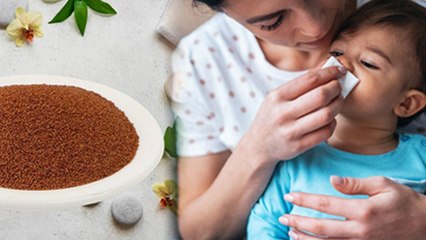 Khubkala Seeds Benefits For Kids: खूबकला मुन्नका खाने के फायदे |Over Weight To Frequent Hunger...