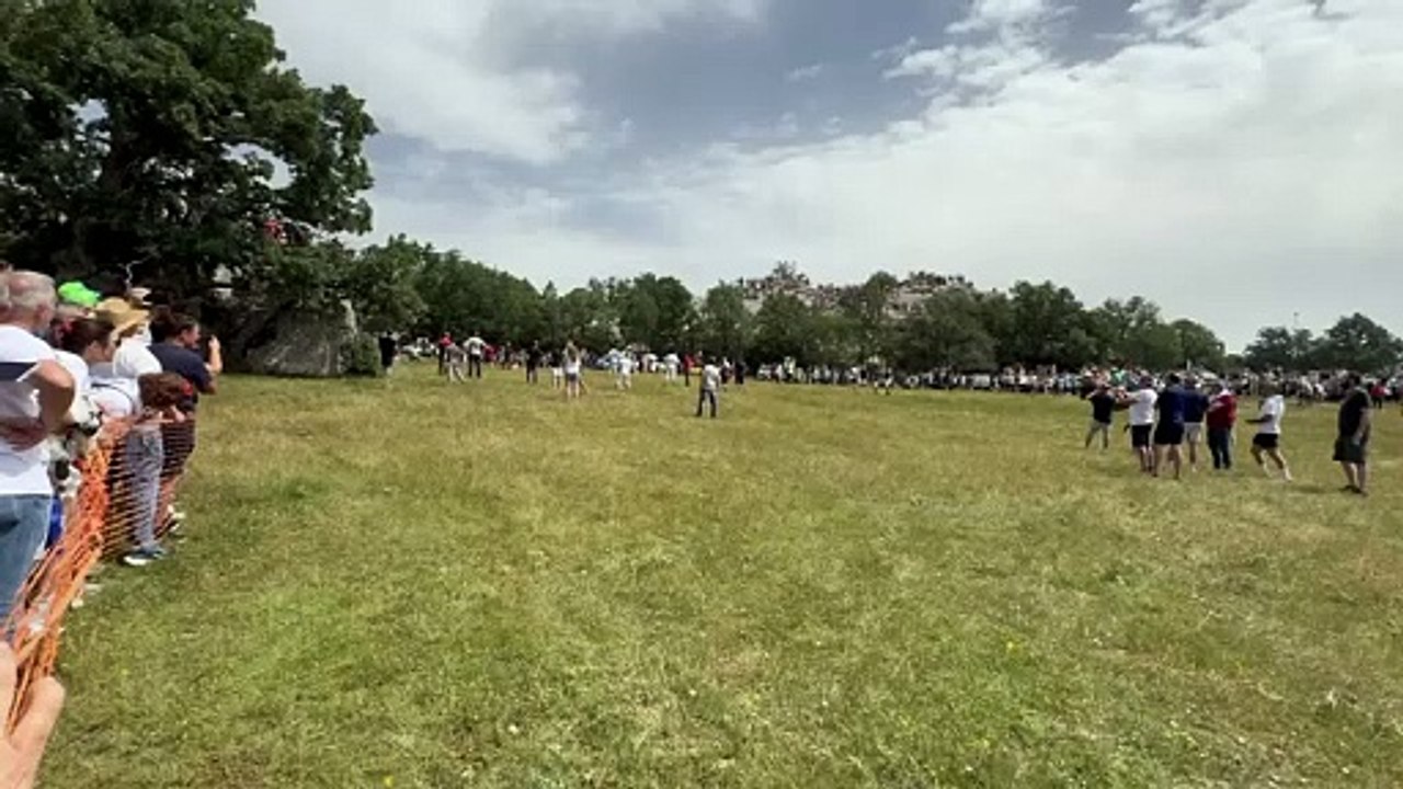 Saca 6