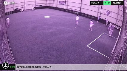 But de Le Cedre Bleu L - Team A