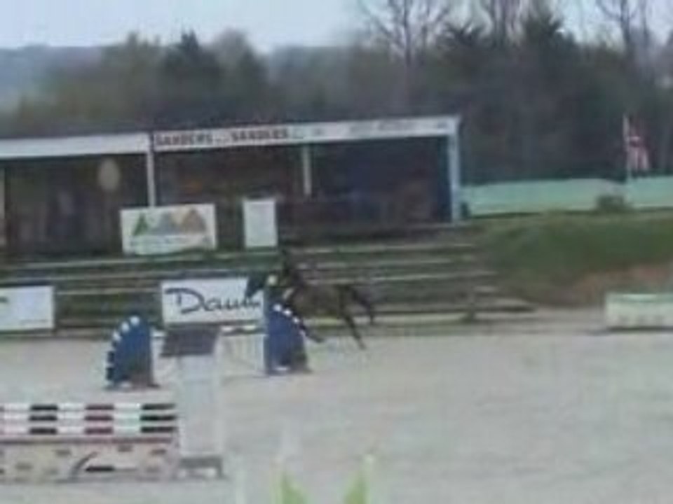 Qumba  ( 2004 ) stallion for sale by jaguar mail / bayard'el