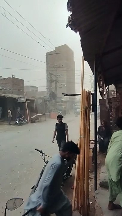 tafan video