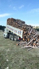 Dump Truck Wood unloading