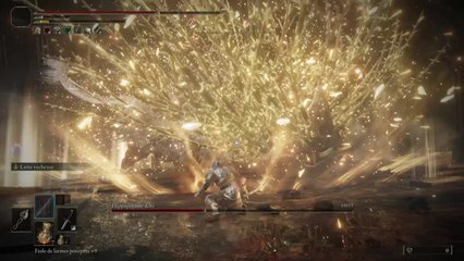 Hippo doré - Shadow of the ErdTree