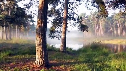 Disrupted Reality (A Clickbait Symphony!)