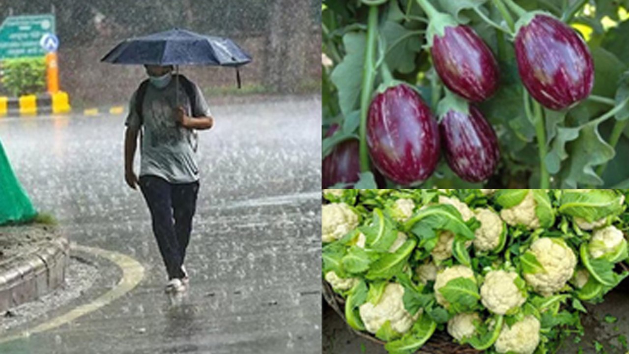 Vegetables To Avoid In Rainy Season|Barish Me Kya Nahi Khana Chahiye Brinjal,Cauliflower To Capsicum