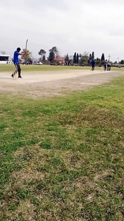 Cricket lovers