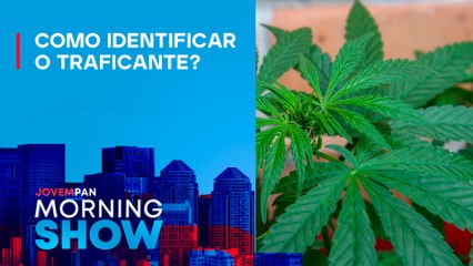 Download Video: STF estabelece LIMITE de 40g de MACONHA para diferenciar USUÁRIO de traficante