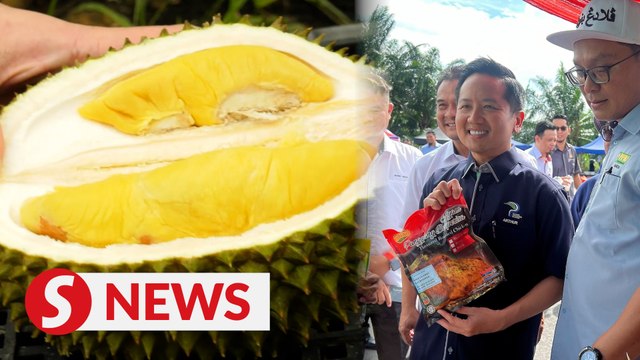 Malaysia to export fresh durians to China soon, says Kurup