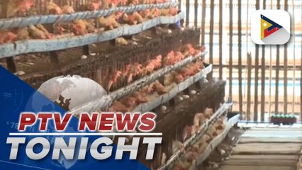 Industry group says local production of egg improved following end of El Niño