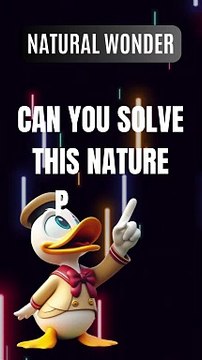 Brain Teasers, Riddles & Logic Puzzles | RiddleXc