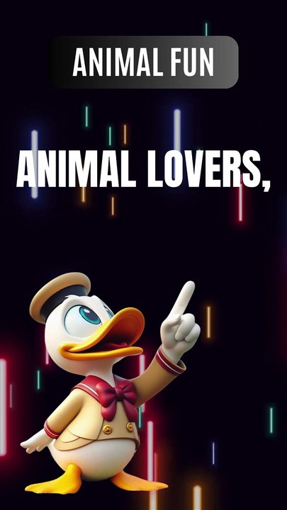 "Brain Teasers, Riddles & Logic Puzzles | RiddleXc