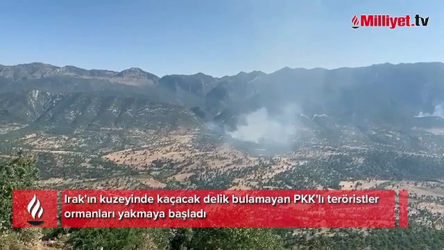 Terör örgütü PKK'nın alçak planı ortaya çıktı! Ormanları yakarak gizlenmeye çalışıyorlar