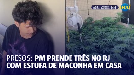 PM prende três com estufa de maconha em casa