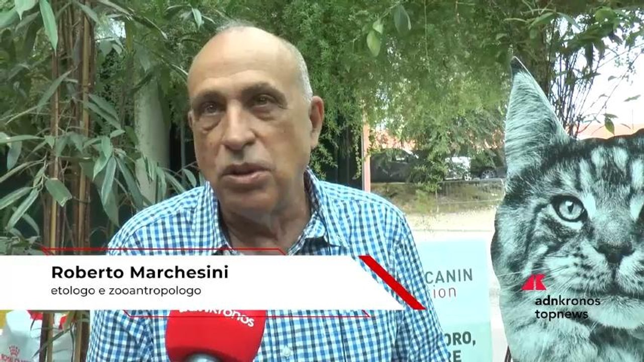 Marchesini: “Visione antropomorfica degli animali non ci fa comprendere loro bisogni”