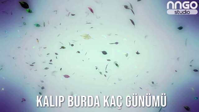 Daha İyisi Gelene Kadar