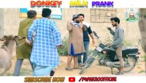 Donkey Milk Selling Prank