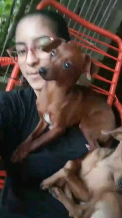 Impossível não Amar