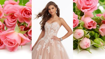 Mejores Vestidos 2024 Por VEO BG