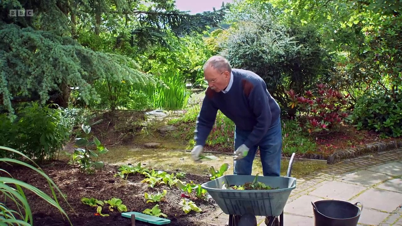 The Beechgrove Garden 2024 episode 13