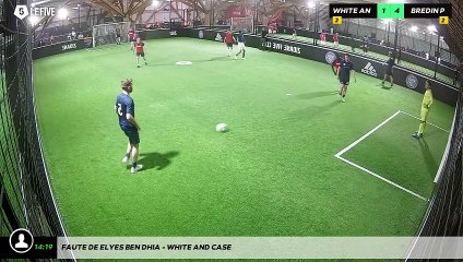 Faute de Elyes BEN DHIA - WHITE AND CASE