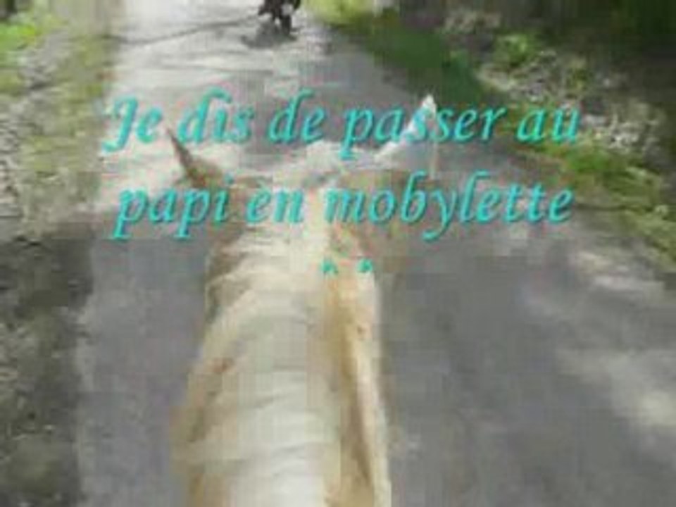 Baignade_0001