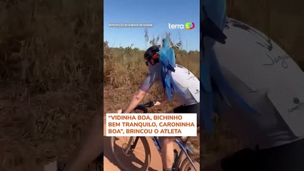 Arara pega 'carona' no ombro de ciclista em Mato Grosso
