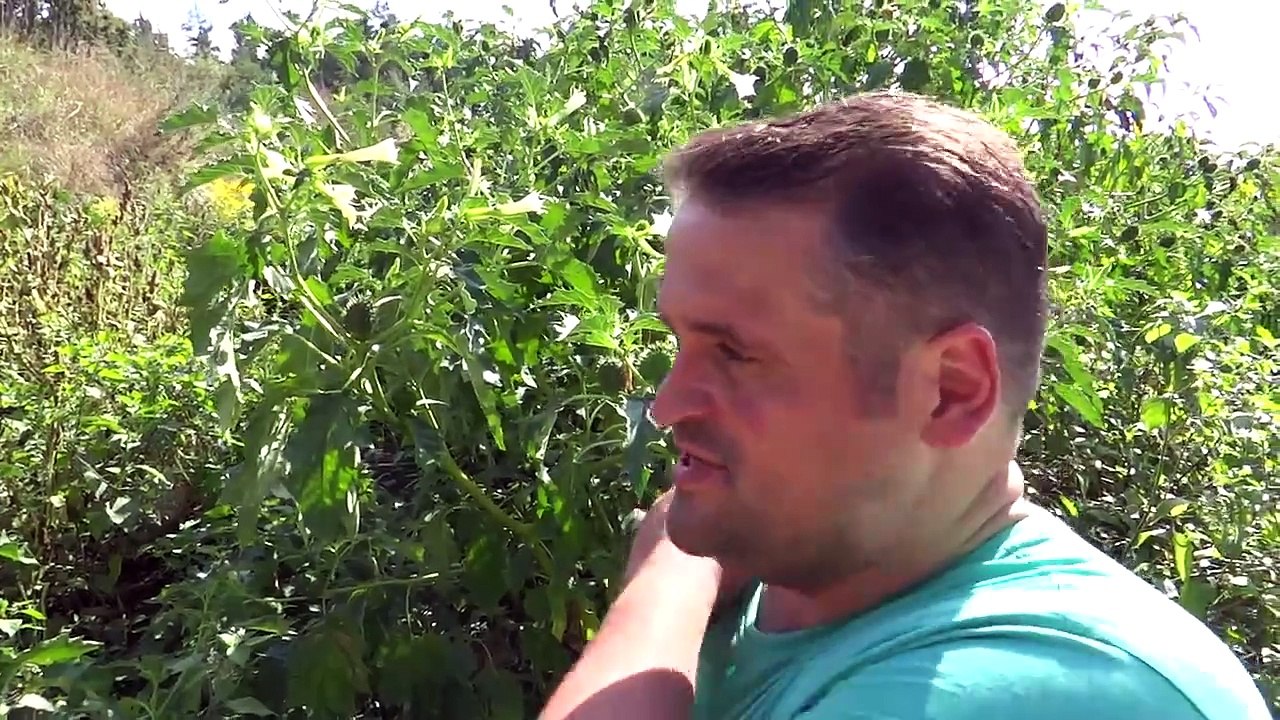 Zombi Ritual (2020) stream deutsch anschauen