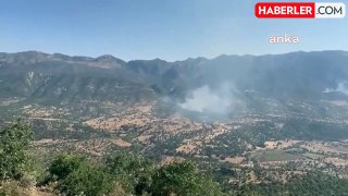 PKK'lı Teröristler Ormanları Ateşe Verdi
