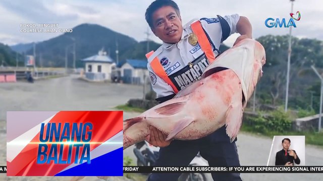 Nakawalang silver carp na abot sa 25 kilos ang timbang, muling nalambat | Unang Balita