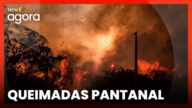 Queimadas no Pantanal: causas e impactos para o clima e animais
