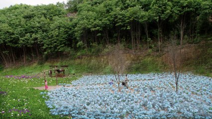 Phi Hồ Ngoại Truyện - Tập 19 | Side Story Of Fox Volant