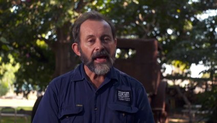 Japanese World War 2 bomb discovered in Darwin Harbour near CBD