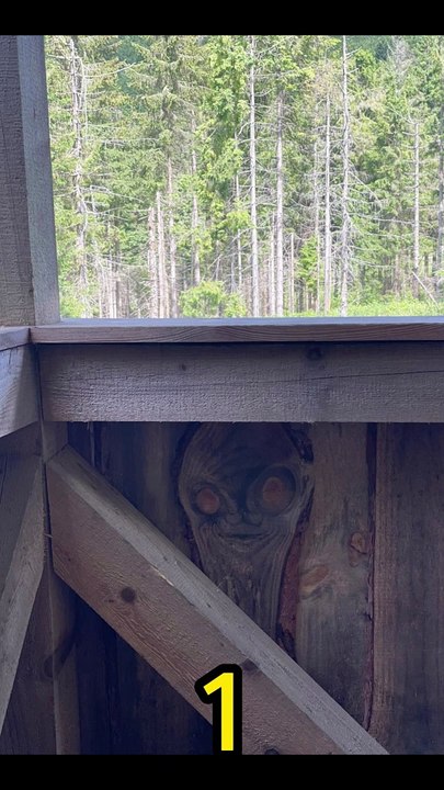 Seeing Faces in Everyday Objects - Part 59