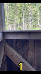 Seeing Faces in Everyday Objects - Part 59